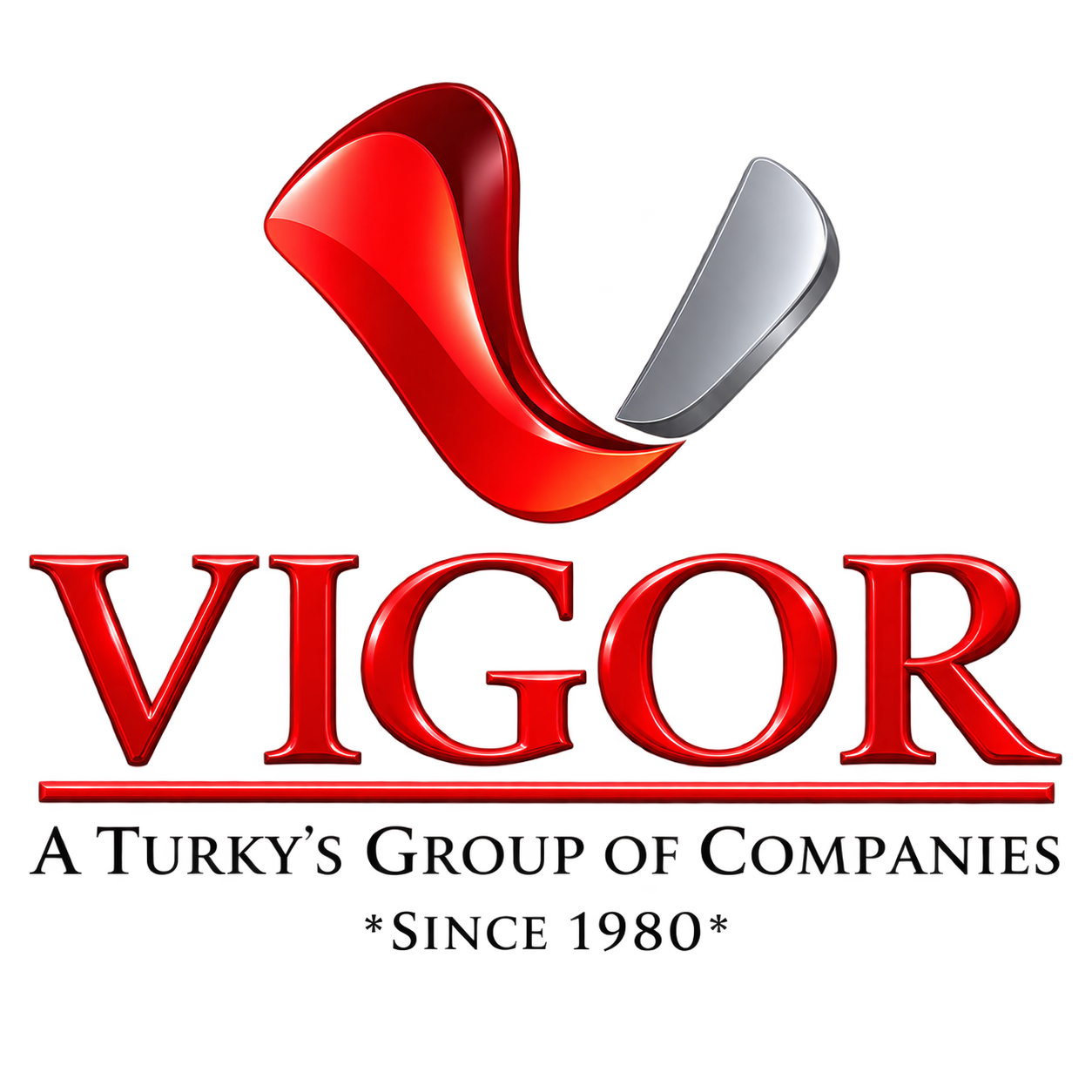 Vigor, a Turky's Group of Companies